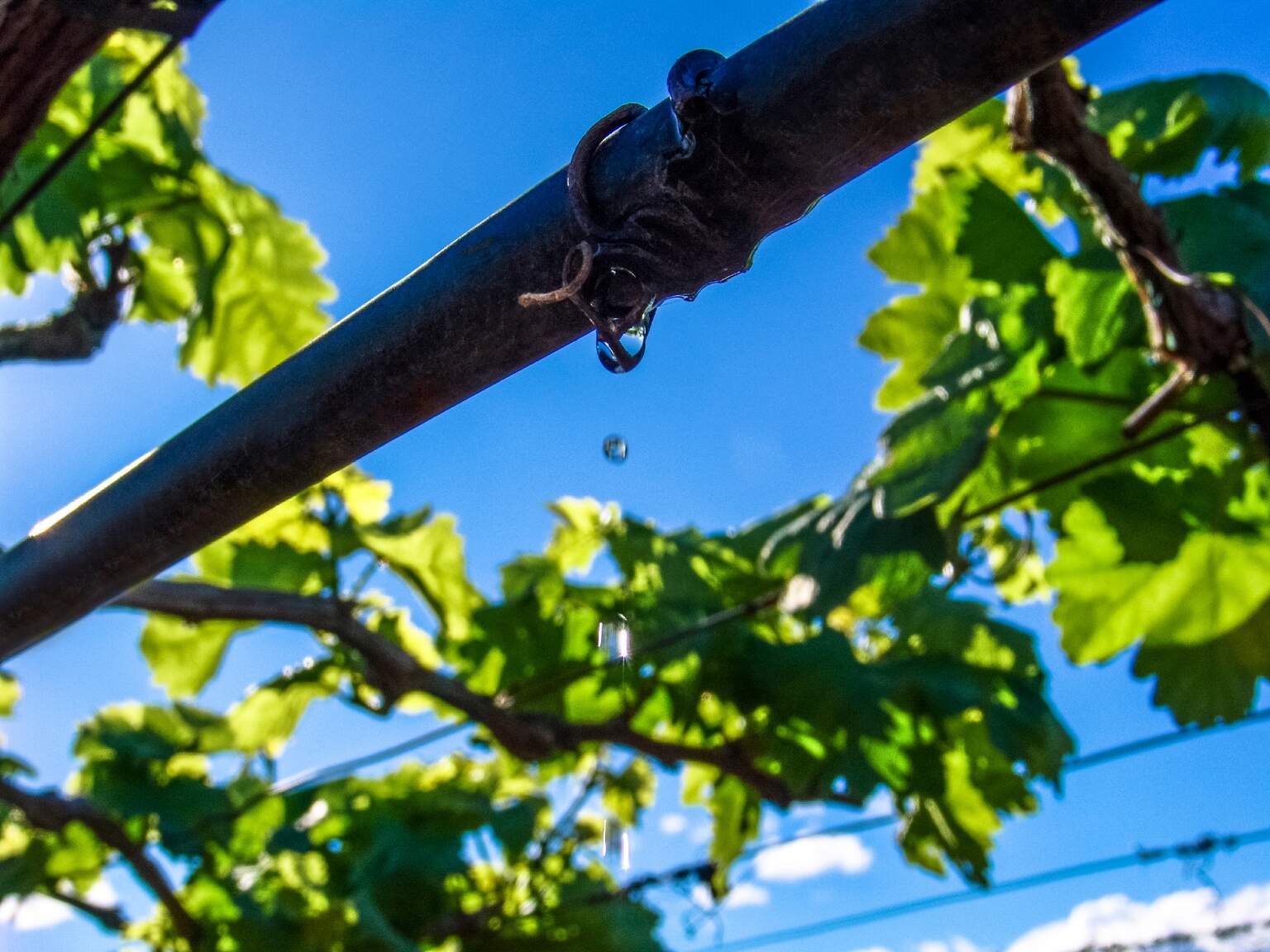 This vital equipment enables wine producers and growers in Mendoza essential access to consistent, reliable and efficient water allocation to their fields.