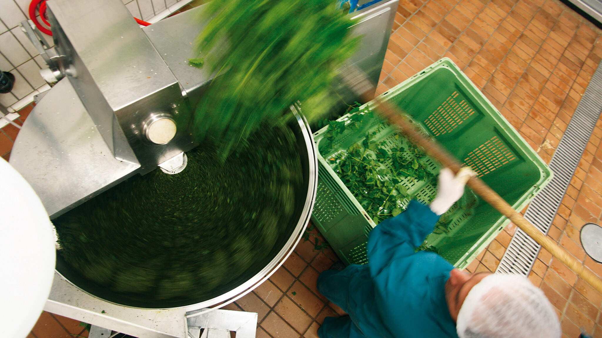 Fresh plants form the basis ... Fresh plants form the basis ...