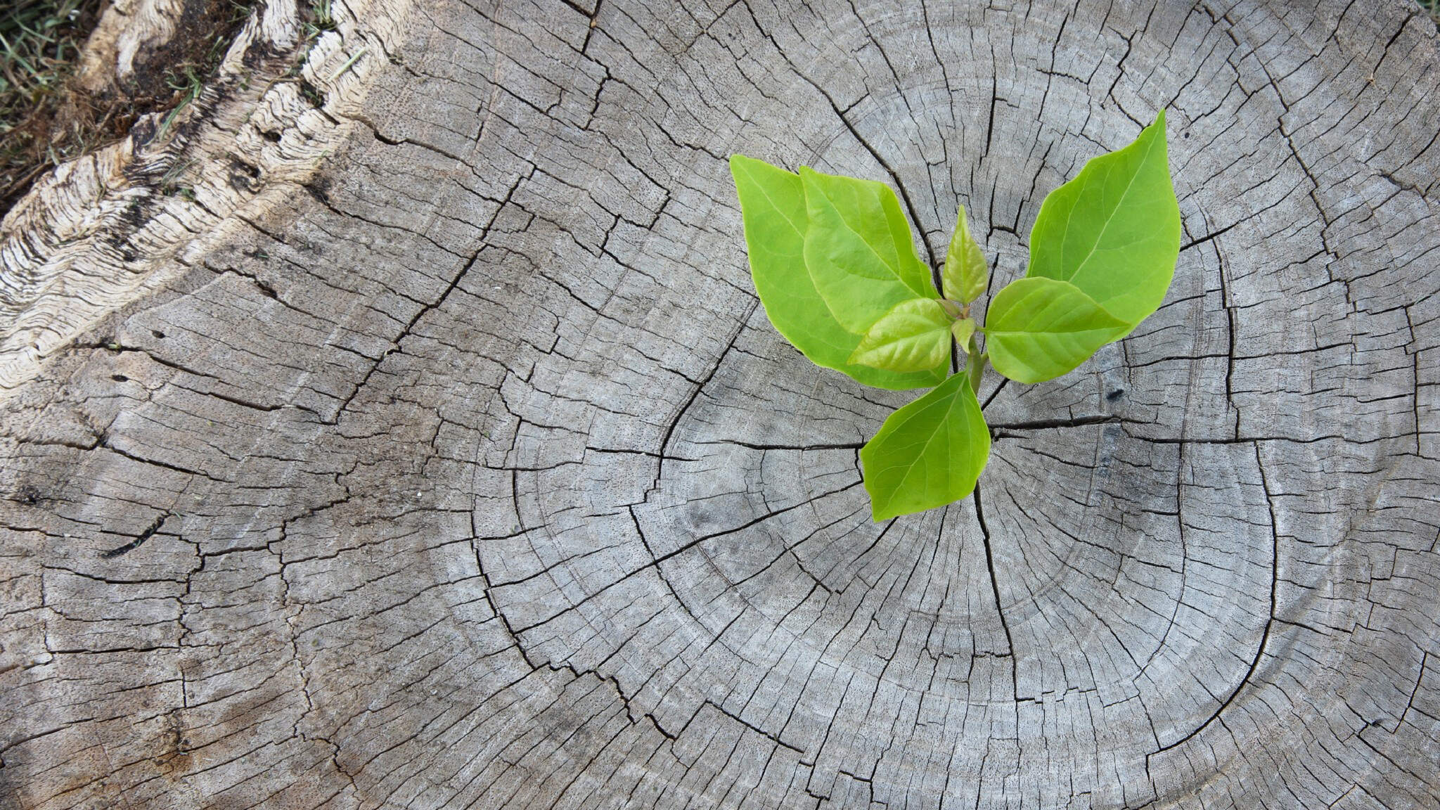 Climate protection is more than an end in itself. Climate protection is more than an end in itself.