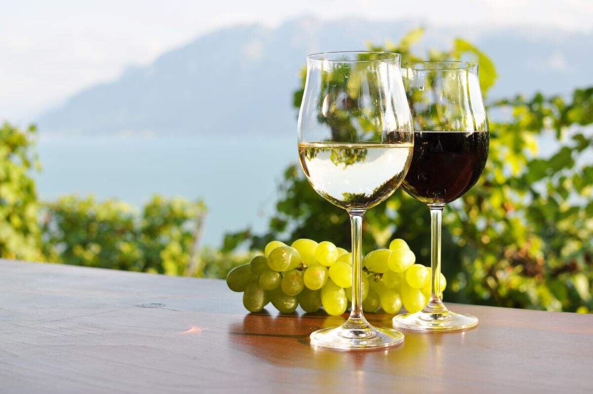 Dachser offers services of global optimization within the whole supply chain of the wine industry, from the vineyard to the shelf Dachser offers services of global optimization within the whole supply chain of the wine industry, from the vineyard to the shelf